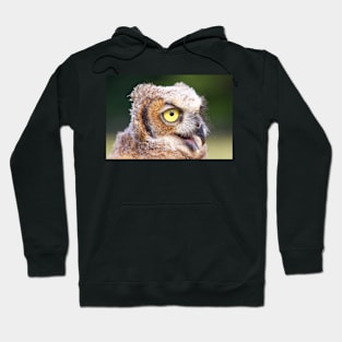 Owl Hoodie